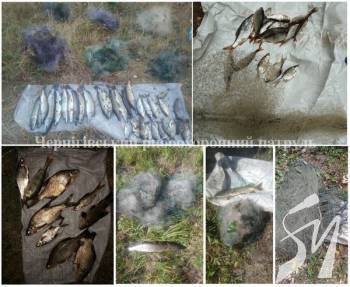 �� �� ���� ����������� 14 ��������, -  ������������� ������� �����������